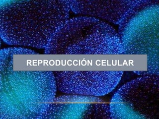 REPRODUCCIÓN CELULAR
 
