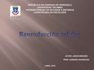 REPÚBLICA BOLIVARIANA DE VENEZUELA
UNIVERSIDAD YACAMBÚ
VICERRECTORADO DE ESTUDIOS A DISTANCIA
LICENCIATURA EN PSICOLOGÍA
AUTOR :JESÚS BRICEÑO
PROF. XIOMARA RODRIGUEZ
JUNIO, 2015
 