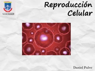 Reproducción
Celular
Daniel Pulve
 