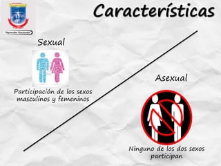 Características
Sexual
Asexual
Participación de los sexos
masculinos y femeninos
Ninguno de los dos sexos
participan
 