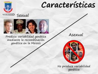 Características
Sexual
AsexualProduce variabilidad genética
mediante la recombinación
genética en la Meiosis
No produce variabilidad
genética
 
