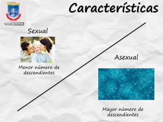 Características
Sexual
Asexual
Menor número de
descendientes
Mayor número de
descendientes
 