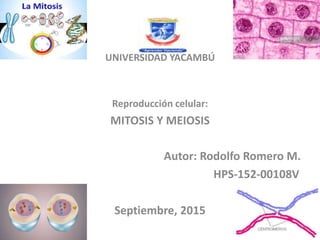 UNIVERSIDAD YACAMBÚ
Reproducción celular:
MITOSIS Y MEIOSIS
Autor: Rodolfo Romero M.
HPS-152-00108V
Septiembre, 2015
 