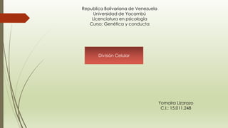 Republica Bolivariana de Venezuela
Universidad de Yacambú
Licenciatura en psicología
Curso: Genética y conducta
División Celular
Yomaira Lizarazo
C.I.: 15.011.248
 