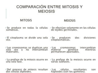 COMPARACIÓN ENTRE MITOSIS Y
MEIOSIS
MITOSIS
Se produce en todas la células
somáticas.
El citoplasma se divide una sola
vez.
Los cromosomas se duplican una
sola vez y no intercambian
materiales.
La profase de la mitosis ocurre en
una sola fase.
Del proceso de mitosis resultan
dos células diploides.
MEIOSIS
Se efectúan solamente en las células
de tejidos germinales.
Se producen dos divisiones
citoplasmáticas.
Las cromosomas intercambian
material genético mientras
permanecen apareados.
La profase de la meiosis ocurre en
varias subfases.
Las células resultantes son
haploides (son los gametos).
 