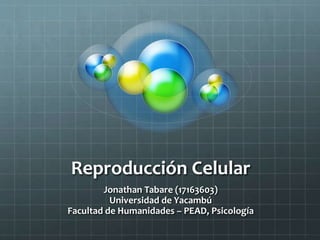 Reproducción Celular
Jonathan Tabare (17163603)
Universidad de Yacambú
Facultad de Humanidades – PEAD, Psicología
 