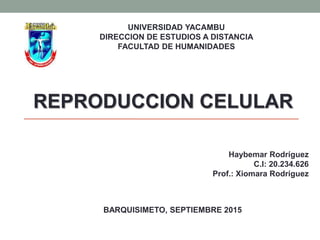 UNIVERSIDAD YACAMBU
DIRECCION DE ESTUDIOS A DISTANCIA
FACULTAD DE HUMANIDADES
REPRODUCCION CELULAR
Haybemar Rodríguez
C.I: 20.234.626
Prof.: Xiomara Rodríguez
BARQUISIMETO, SEPTIEMBRE 2015
 