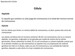 Haploide
Es aquella que contiene un solo juego de cromosomas o la mitad del número normal
de cromosomas
Diploide
Son las células que tienen un número doble de cromosomas, es decir, poseen dos series de
cromosomas.
Las células somáticas del ser humano contienen 46 (23 x 2) cromosomas; ése es su número
diploide. Los gametos, originados en las gónadas por medio de meiosis de las células
germinales, tienen solamente la mitad, 23, lo cual constituye su número haploide, puesto que
en la división meiótica sus 46 cromosomas se reparten tras una duplicación de material
genético (2c→4c) en 4 células, cada una con 23 cromosomas y una cantidad de material
genético, dejando a cada célula sin el par completo de cromosomas.
Célula
Reproducción Celular
 