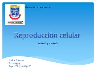 Mitosis y meiosis
Carlos Fuentes
C.I. 7103715
Exp. HPS-132-00092-V
 