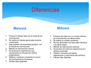Diferencias
Meiosis Mitosis
1. Produce 4 células hijas con la mitad de los
cromosomas.
2. Se realiza en células germinales (ovarios
y testículos)
3. Deja espacio a la diversidad genética con
la mezcla de cromosomas.
4. Método de reproducción sexual.
5. Se produce en organismos cuya
reproducción es sexual (con ambos
progenitores)
6. Objetivo; mantener constante el numero
de cromosomas en la especie.
7. Células hijas haploides.
1. Produce dos hijas con un numero idéntico
de cromosomas a la célula madre.
2. Se realiza en células somáticas.
3. No hay diversidad, los hijos salen identicos
a la célula origen
4. Método de reproducción asexual.
5. Se produce en todos los organismos con
células eucariotas.
6. Objetivo: formación de tejidos,
regeneración y crecimiento del individuo.
7. Células hijas diploides.
 