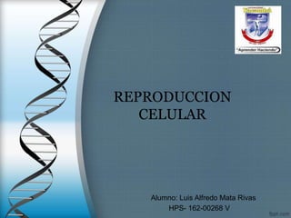 Alumno: Luis Alfredo Mata Rivas
HPS- 162-00268 V
REPRODUCCION
CELULAR
 