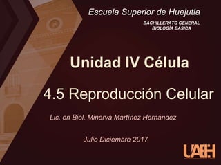 Unidad IV Célula
4.5 Reproducción Celular
Escuela Superior de Huejutla
BACHILLERATO GENERAL
BIOLOGÍA BÁSICA
Lic. en Biol. Minerva Martínez Hernández
Julio Diciembre 2017
 
