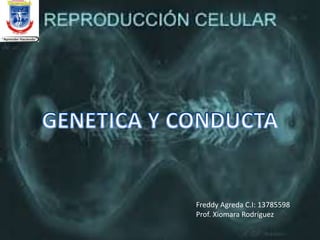 Freddy Agreda C.I: 13785598
Prof. Xiomara Rodríguez
 