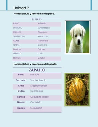Unidad 2
Nomenclatura y taxonomía del perro.
Nomenclatura y taxonomía del zapallo.
ZAPALLO
Reino Plantae
Sub reino Tracheobionta
Clase Magnoliopsida
Orden Cucrbitales
Familia Cucurbitaceace
Genero Cucúrbita
especie C. maxima
EL PERRO
REINO Animalia
SUBREINO Eumetazooa
PHYLUM Chordata
SUB PHYLUM Vertebrata
CLASE Mammalia
ORDEN Carnívoro
FAMILIA Cnidae
GENERO Kanis
ESPECIE C. lupus
 