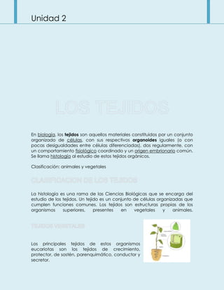 Unidad 2
En biología, los tejidos son aquellos materiales constituidos por un conjunto
organizado de células, con sus respectivos organoides iguales (o con
pocas desigualdades entre células diferenciadas), dos regularmente, con
un comportamiento fisiológico coordinado y un origen embrionario común.
Se llama histología al estudio de estos tejidos orgánicos.
Clasificación: animales y vegetales
La histología es una rama de las Ciencias Biológicas que se encarga del
estudio de los tejidos. Un tejido es un conjunto de células organizadas que
cumplen funciones comunes. Los tejidos son estructuras propias de los
organismos superiores, presentes en vegetales y animales.
Los principales tejidos de estos organismos
eucariotas son los tejidos de crecimiento,
protector, de sostén, parenquimático, conductor y
secretor.
 