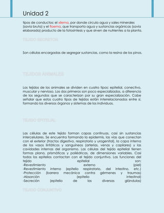 Unidad 2
tipos de conductos: el xilema, por donde circula agua y sales minerales
(savia bruta) y el floema, que transporta agua y sustancias orgánicas (savia
elaborada) producto de la fotosíntesis y que sirven de nutrientes a la planta.
Son células encargadas de segregar sustancias, como la resina de los pinos.
Los tejidos de los animales se dividen en cuatro tipos: epitelial, conectivo,
muscular y nervioso. Los dos primeros son poco especializados, a diferencia
de los segundos que se caracterizan por su gran especialización. Cabe
señalar que estos cuatro tipos de tejidos están interrelacionados entre sí,
formando los diversos órganos y sistemas de los individuos.
Las células de este tejido forman capas continuas, casi sin sustancias
intercelulares. Se encuentra formando la epidermis, las vías que conectan
con el exterior (tractos digestivo, respiratorio y urogenital), la capa interna
de los vasos linfáticos y sanguíneos (arterias, venas y capilares) y las
cavidades internas del organismo. Las células del tejido epitelial tienen
formas plana, prismáticas y poliédricas, de dimensiones variables. Casi
todos los epitelios contactan con el tejido conjuntivo. Las funciones del
tejido epitelial son:
-Revestimiento externo (piel)
-Revestimiento interno (epitelio respiratorio, del intestino, etc.)
-Protección (barrera mecánica contra gérmenes y traumas)
-Absorción (epitelio intestinal)
-Secreción (epitelio de las diversas glándulas)
 