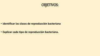 OBJETIVOS:
• identificar las clases de reproducción bacteriana
• Explicar cada tipo de reproducción bacteriana.
 