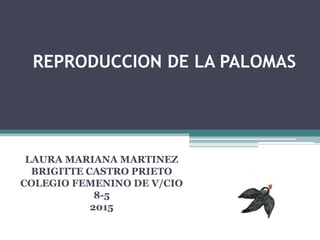 REPRODUCCION DE LA PALOMAS
LAURA MARIANA MARTINEZ
BRIGITTE CASTRO PRIETO
COLEGIO FEMENINO DE V/CIO
8-5
2015
 