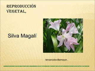 RepRoducción
vegetal,
tercerciclovillamayor..
Silva Magalí
 