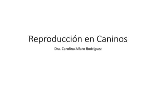 Reproducción en Caninos
Dra. Carolina Alfaro Rodríguez
 