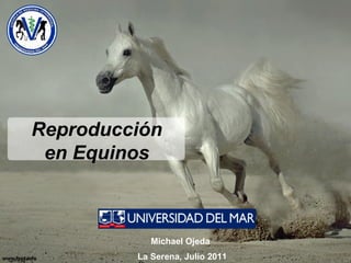 Reproducción
 en Equinos



            Michael Ojeda
         La Serena, Julio 2011
 