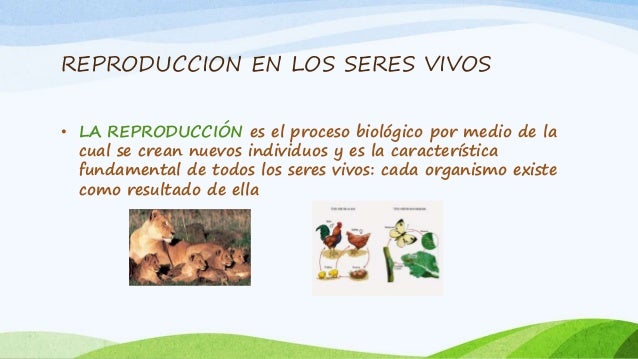Reproduccion en los seres vivos diapositivas