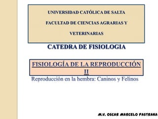 UNIVERSIDAD CATÓLICA DE SALTA

FACULTAD DE CIENCIAS AGRARIAS Y

         VETERINARIAS


CATEDRA DE FISIOLOGIA




                   M.V. Oscar Marcelo Pastrana
 