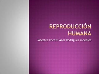 Maestra Xochitl Anaí Rodriguez moeales
 