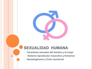 SEXUALIDAD HUMANA
• Caracteres sexuales del hombre y la mujer
• Sistema reproductor masculino y femenino
• Gametogénesis y Ciclo menstrual
 