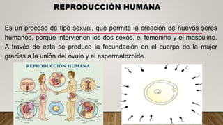 REPRODUCCIÓN HUMANA
Es un proceso de tipo sexual, que permite la creación de nuevos seres
humanos, porque intervienen los dos sexos, el femenino y el masculino.
A través de esta se produce la fecundación en el cuerpo de la mujer
gracias a la unión del óvulo y el espermatozoide.
 