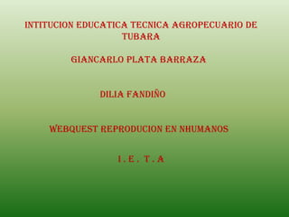 INTITUCION EDUCATICA TECNICA AGROPECUARIO DE
TUBARA
giancarlo plata barraza

DILIA FANDIÑO
WEBQUEST REPRODUCION EN NHUMANOS
I.E. T.A

 