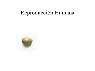 Reproducción Humana
 