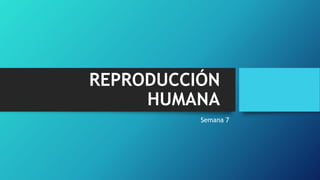 REPRODUCCIÓN
HUMANA
Semana 7
 