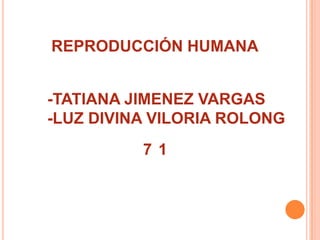 REPRODUCCIÓN HUMANA
-TATIANA JIMENEZ VARGAS
-LUZ DIVINA VILORIA ROLONG
71

 