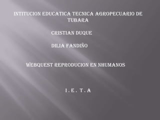 INTITUCION EDUCATICA TECNICA AGROPECUARIO DE
TUBARA
Cristian duque
DILIA FANDIÑO
WEBQUEST REPRODUCION EN NHUMANOS

I.E. T.A

 