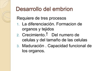 Desarrollo del embrion
Requiere de tres procesos
1. La diferenciación. Formacion de
   organos y tejidos
2. Crecimiento.    Del numero de
   celulas y del tamaño de las celulas
3. Maduración . Capacidad funcional de
   los organos.
 