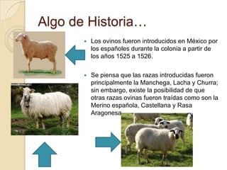 Algo de Historia…
          Los ovinos fueron introducidos en México por
           los españoles durante la colonia a partir de
           los años 1525 a 1526.

          Se piensa que las razas introducidas fueron
           principalmente la Manchega, Lacha y Churra;
           sin embargo, existe la posibilidad de que
           otras razas ovinas fueron traídas como son la
           Merino española, Castellana y Rasa
           Aragonesa.
 
