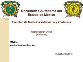 Universidad Autónoma del
              Estado de México

  Facultad de Medicina Veterinaria y Zootecnia


                   Reproducción Ovina
                       (Hembras)


EMVZ´s.
Mónica Martínez González



                                        24/septiembre/2012
 