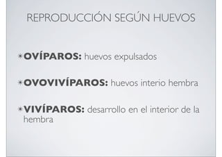 REPRODUCCIÓN SEGÚN HUEVOS
✴OVÍPAROS:

huevos expulsados

✴OVOVIVÍPAROS:
✴VIVÍPAROS:

hembra

huevos interio hembra

desarrollo en el interior de la

 