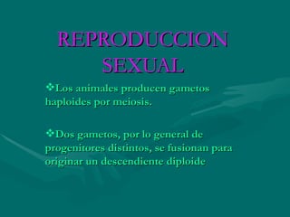 REPRODUCCION
     SEXUAL
Los animales producen gametos
haploides por meiosis.

Dos gametos, por lo general de
progenitores distintos, se fusionan para
originar un descendiente diploide
 