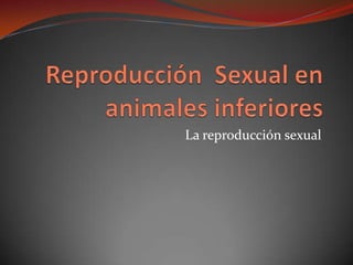 La reproducción sexual

 