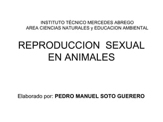 REPRODUCCION SEXUAL
EN ANIMALES
INSTITUTO TÉCNICO MERCEDES ABREGO
AREA CIENCIAS NATURALES y EDUCACION AMBIENTAL
Elaborado por: PEDRO MANUEL SOTO GUERERO
 