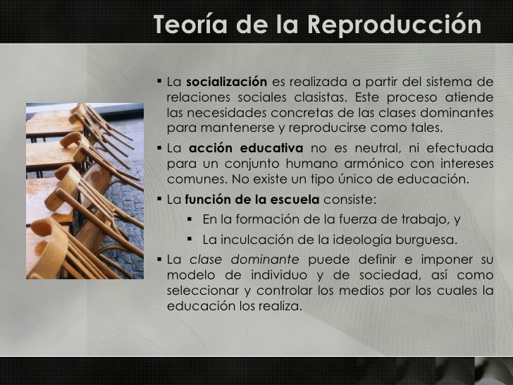 Reproduccion Social Y Cultural
