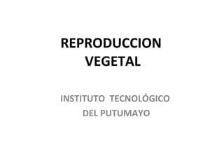 REPRODUCCION  VEGETAL INSTITUTO  TECNOLÓGICO DEL PUTUMAYO 