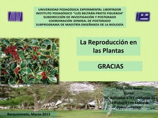 La Reproducción en
                               las Plantas

                                GRACIAS


                                          Prof. Jairo Rosas
                                               Curso:
                                  TIC Aplicadas a la Enseñanza de
                                      la Biología con Enfoque
                                          Constructivista.
Barquisimeto, Marzo 2013
 