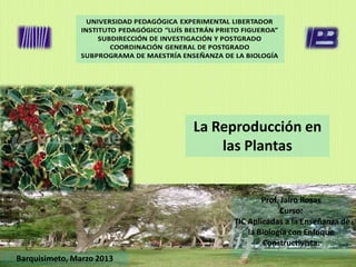La Reproducción en
                               las Plantas


                                        Prof. Jairo Rosas
                                             Curso:
                                TIC Aplicadas a la Enseñanza de
                                    la Biología con Enfoque
                                        Constructivista.
Barquisimeto, Marzo 2013
 
