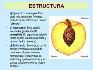 Reproduccion Vegetal Sexual Y Asexual PPT reproduccion-vegetal-sexual-y-asexual-ppt