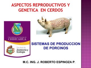 SISTEMAS DE PRODUCCION 
DE PORCINOS 
M.C. ING. J. ROBERTO ESPINOZA P.  