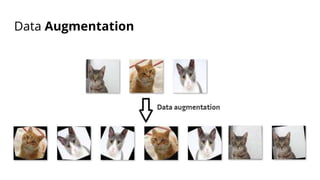 Data Augmentation
 