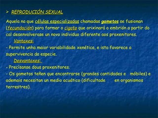  REPRODUCIÓN SEXUALREPRODUCIÓN SEXUAL
Aquela na que células especializadas chamadas gametos se fusionan
(fecundaciónfecundación) para formar o cigotocigoto que orixinará o embrión a partir do
cal desenvolverase un novo individuo diferente aos proxenitores.
Vantaxes:Vantaxes:
- Permite unha maior variabilidade xenética, e isto favorece a
supervivencia da especie.
Desvantaxes:Desvantaxes:
- Precísanse dous proxenitores.
- Os gametos teñen que encontrarse (grandes cantidades e móbiles) e
ademais necesitan un medio acuático (dificultade en organismos
terrestres).
 